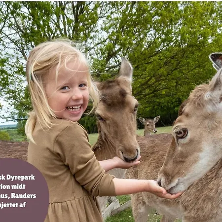 Сasa de vacaciones 7 Person In *